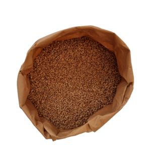 MANITOBAKERNER - ØKOLOGISKE - HELE